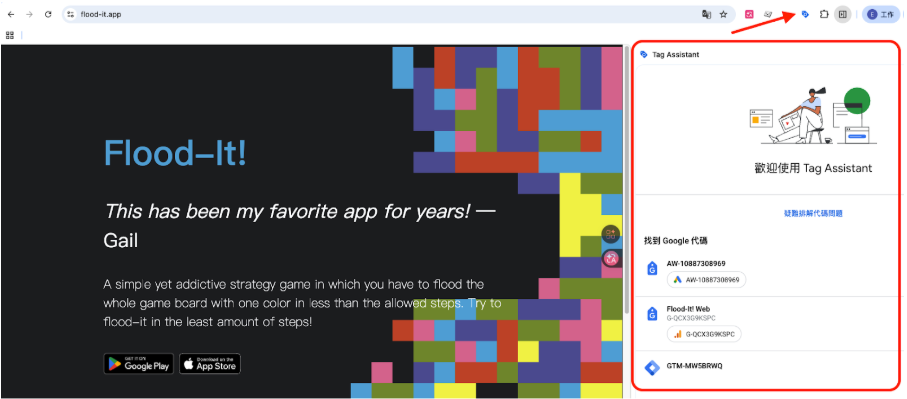 Google Tag Assistant